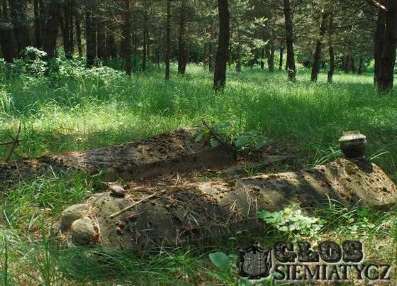 Macewy z żydowskich cmentarzy - Milejczyce
