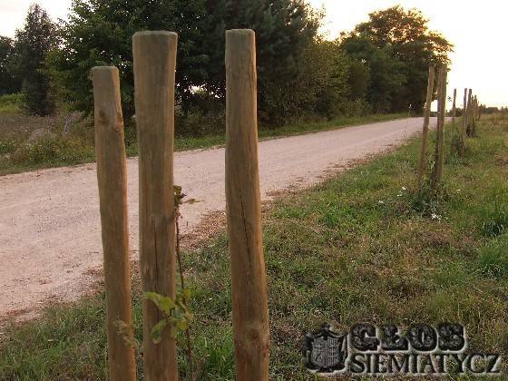 Smoleńskie dęby - Mielnik
