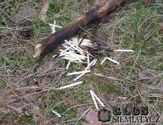 Z redakcyjnej poczty - Niewiedza czy głupota
