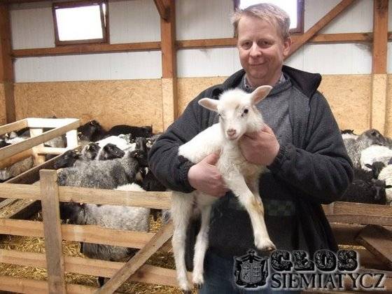 Największe stado owiec w powiecie - Mięso najczęściej kupują Włosi