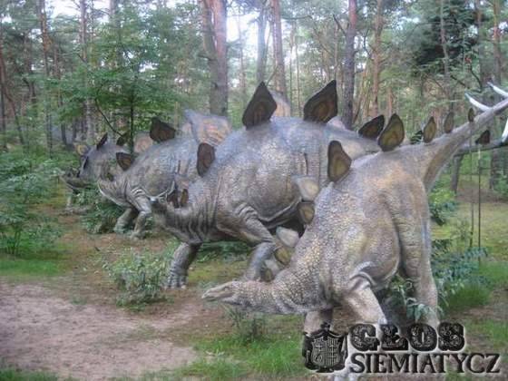 Dinozaury nad zalewem? - Siemiatycze