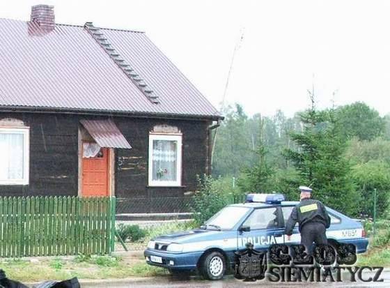 Pracowity i dobrze ułożony - Grodzisk