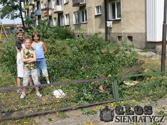 Niech ruszą jeszcze jedno drzewo, to łeb komuś spadnie!