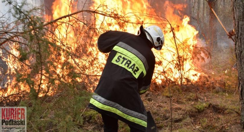 Bezmyślność przyczyną pożaru lasu