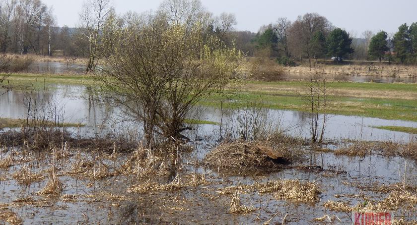  Będzie Zenek, a może i kąpielisko