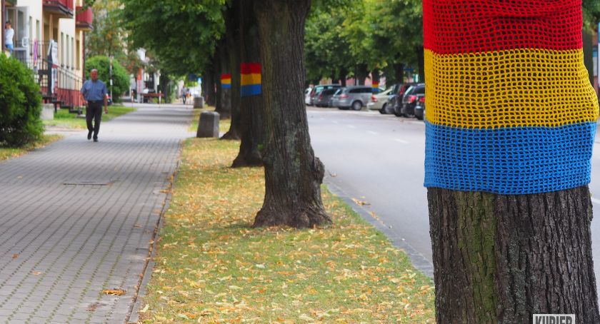 „Tęczowe” lipy? 