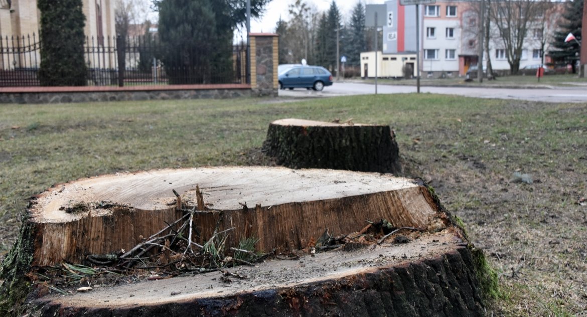 Ligawki, trombity i bazuny w Ciechanowcu 