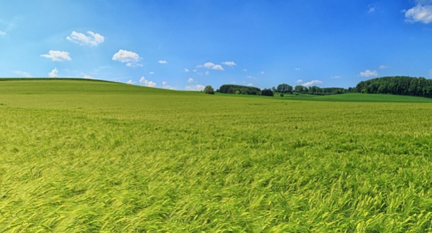 Niedostateczne wsparcie dla rolników i trudności w rozwoju zrównoważonej produkcji rolniczej.