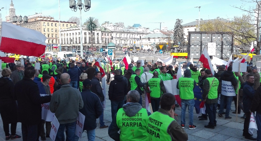 Jeszcze Polska nie zginęła póki karpie w stawie?