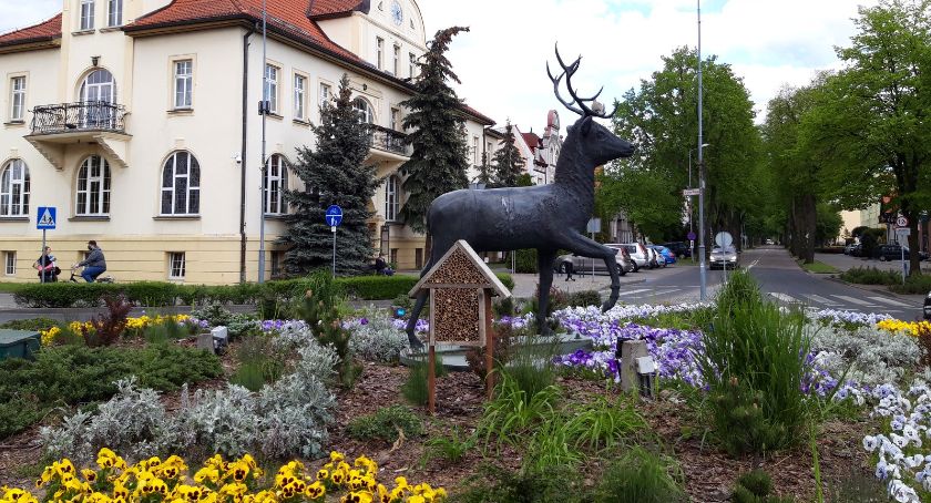 Złotowski hotel dla pszczół