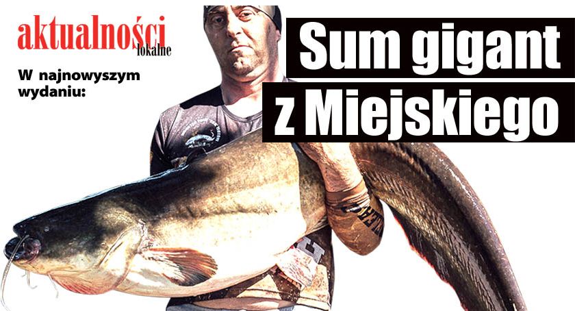 Sum gigant z Miejskiego