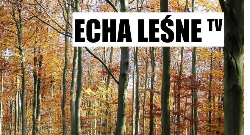 Leśna telewizja dla wszystkich