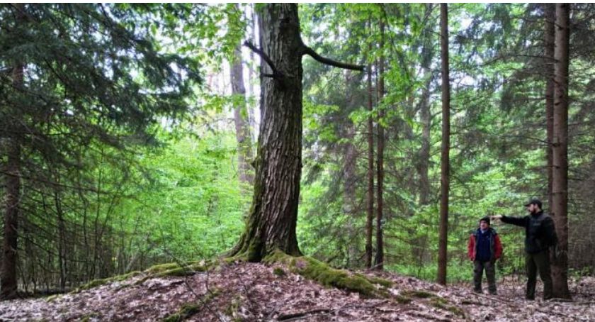 Inwentaryzacja archeologiczna w złotowskich lasach