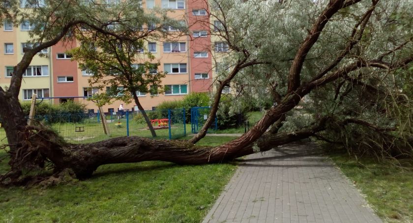 Mogło dojść do tragedii