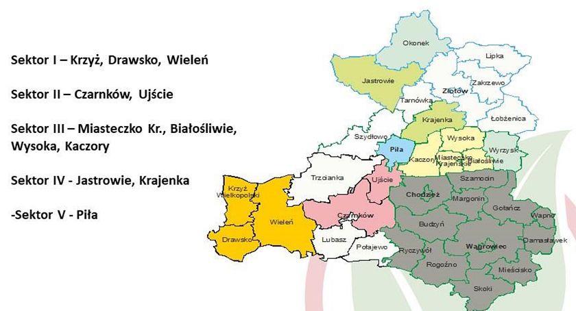 Sektory lekarstwem na obniżki cen?
