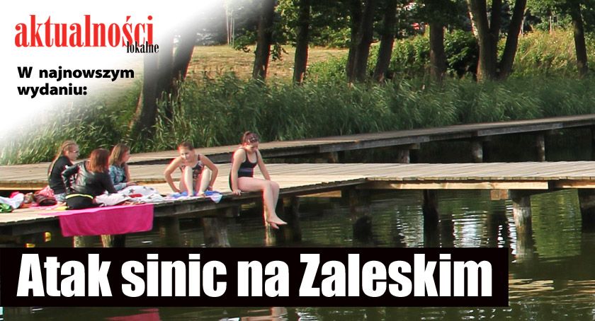 Atak sinic na Zaleskim