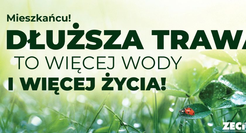 ZECiUK z kampanią niekoszenia trawy