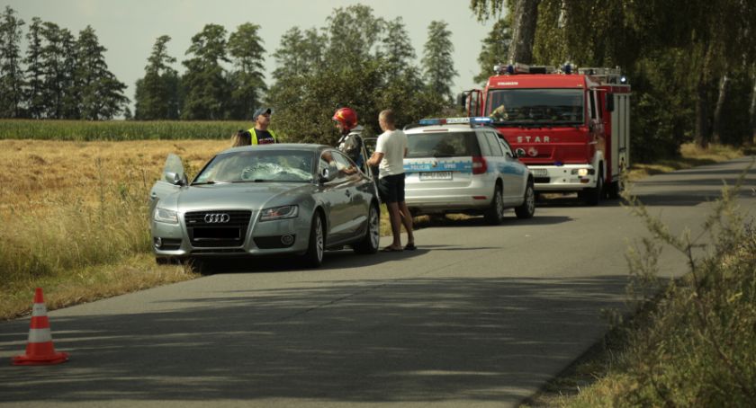 Gałąź uszkodziła przednie szyby