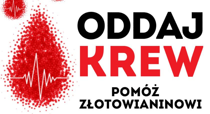 Pilnie potrzebna krew dla złotowianina!