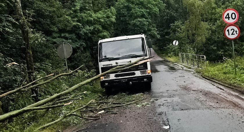 Drzewo powalone na samochód