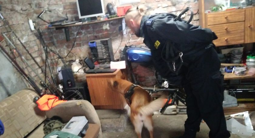 Uprawiał marihuanę, wpadł w ręce policji podczas rodzinnej awantury