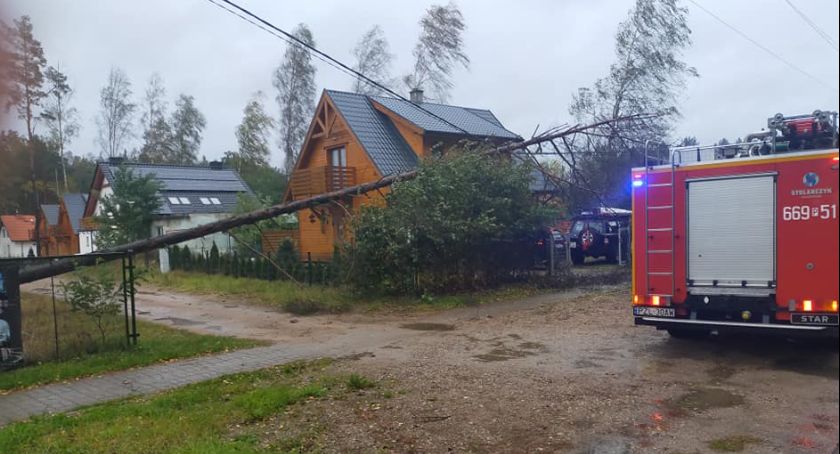 Powalone drzewo w Kujankach