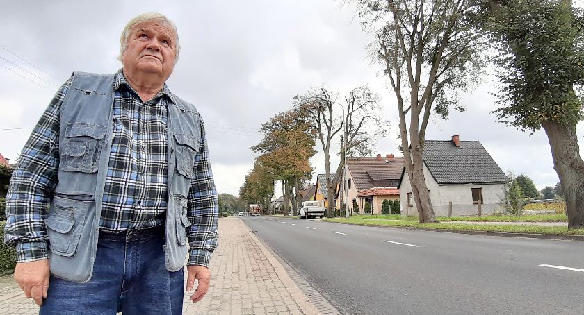 Wyciąć drzewa przy Jastrowskiej