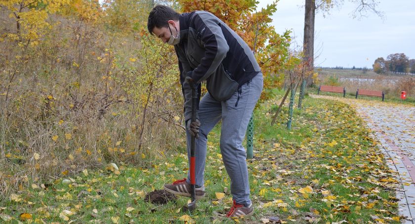 Kolejne drzewka posadzone w Zakrzewie