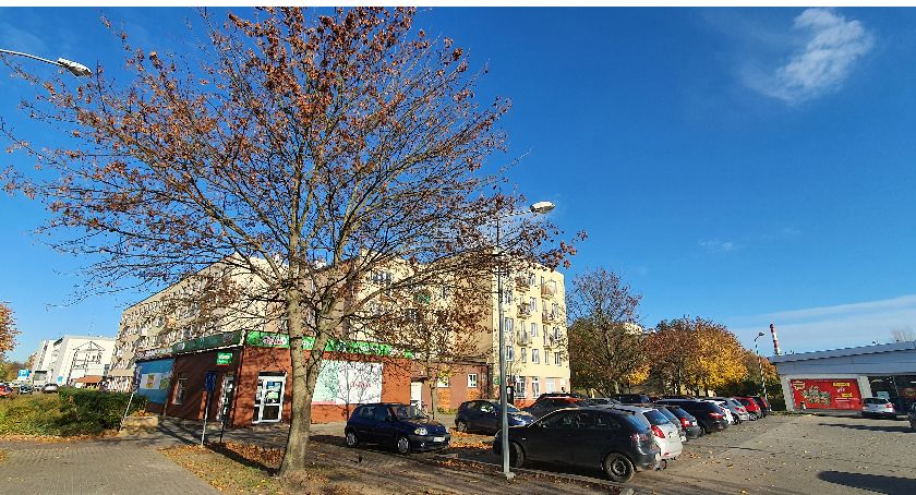 Strącali kasztany o 3 nad ranem