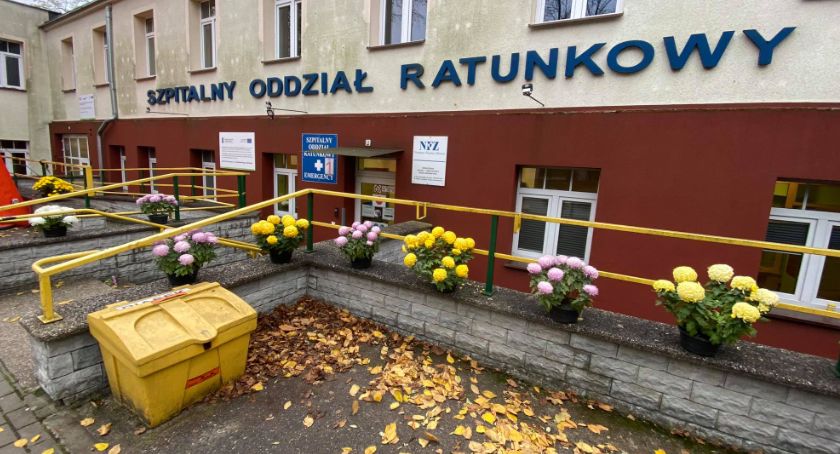 Chryzantemy przy złotowskim szpitalu