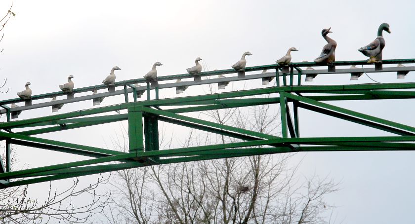 Kaczego Dołka nie będzie