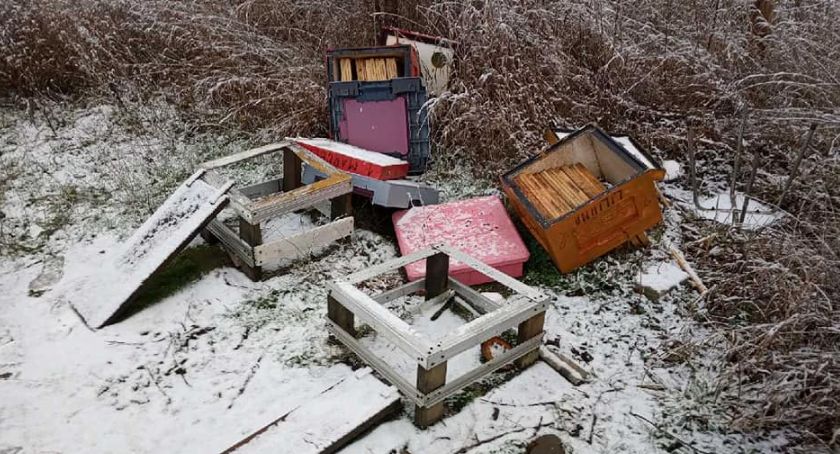 Zniszczona pasieka w Jastrowiu