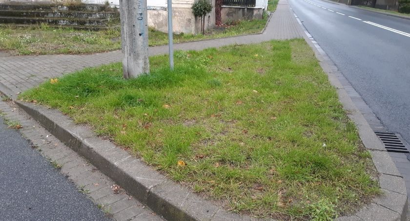 Lędyczek zbiera na drzewa i kwiatki do rabatki