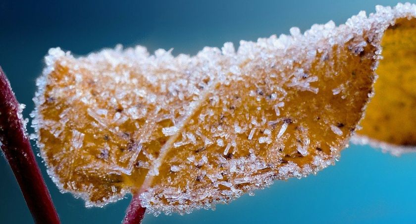 Dziś w nocy temperatura może spaść do -17°C