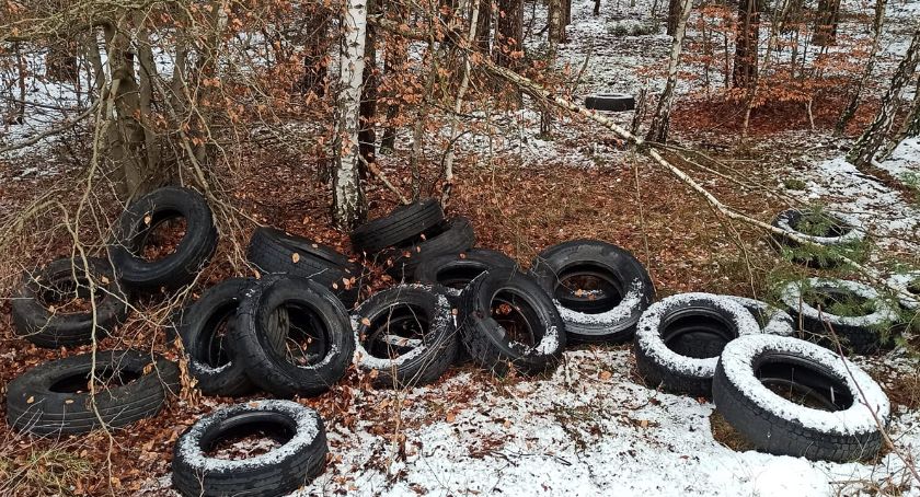 Kto wyrzucił opony do lasu?
