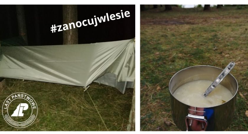 Od maja zanocujesz w lesie !