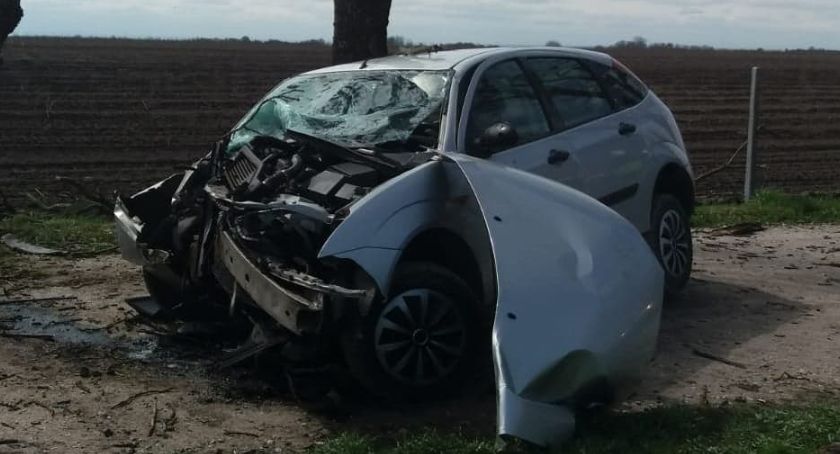 Pijany kierowca uderzył w drzewo