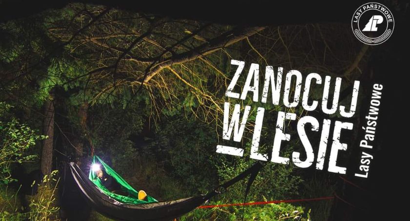Zanocujcie w złotowskich lasach