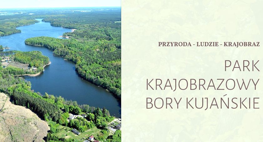 Park Krajobrazowy Bory Kujańskie