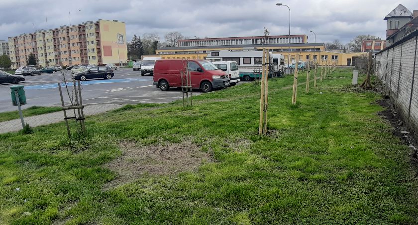 Miejscówka na psią kupę