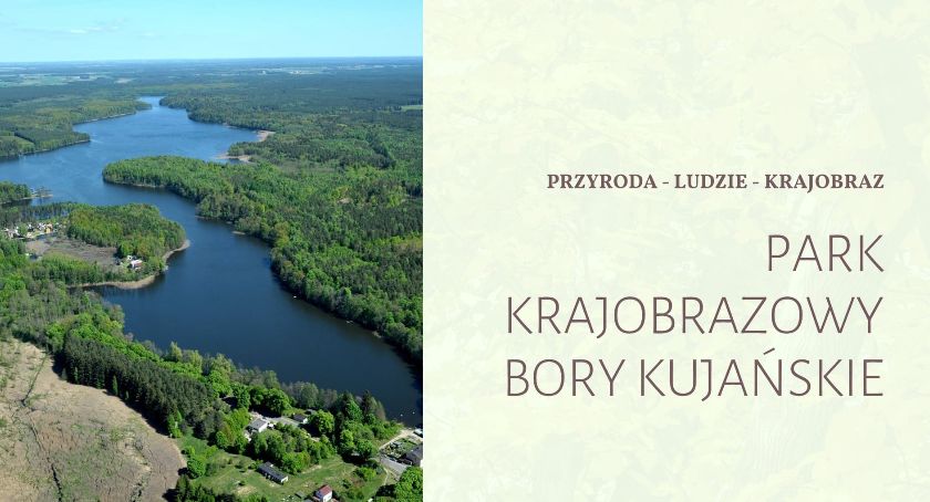 Złoty środek