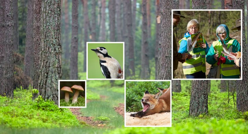 Park Krajobrazowy Bory Kujańskie szansą dla regionu!