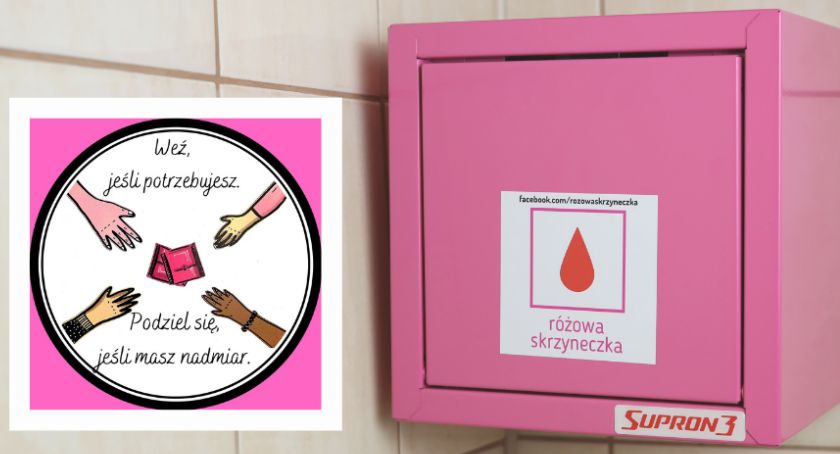 Różowa skrzyneczka w WSCKZiU w Złotowie