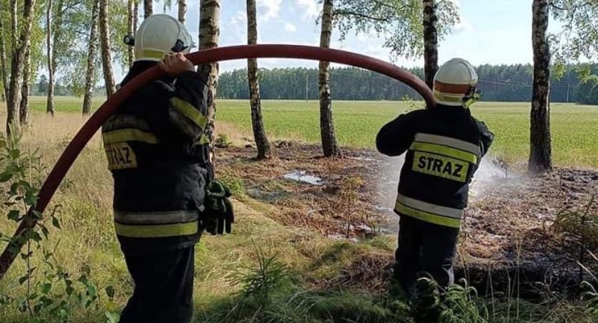 Pożar lasu