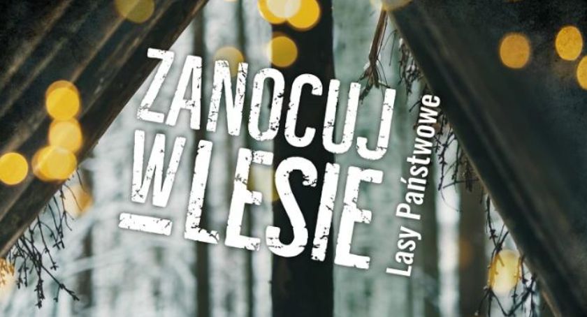 Zanocuj w jastrowskich lasach