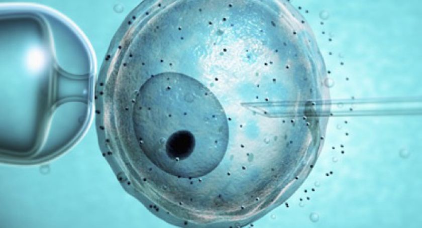 Dwa razy więcej pieniędzy na in vitro w Złotowie