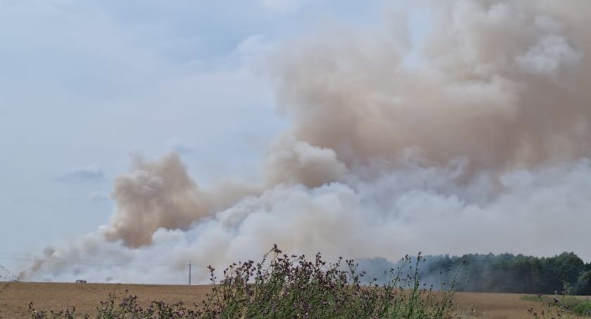 Duży pożar zboża w Borucinie