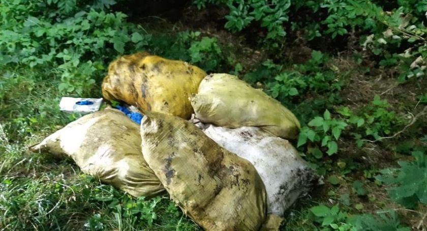 Kto wyrzucił worki z martwymi kurczakami?