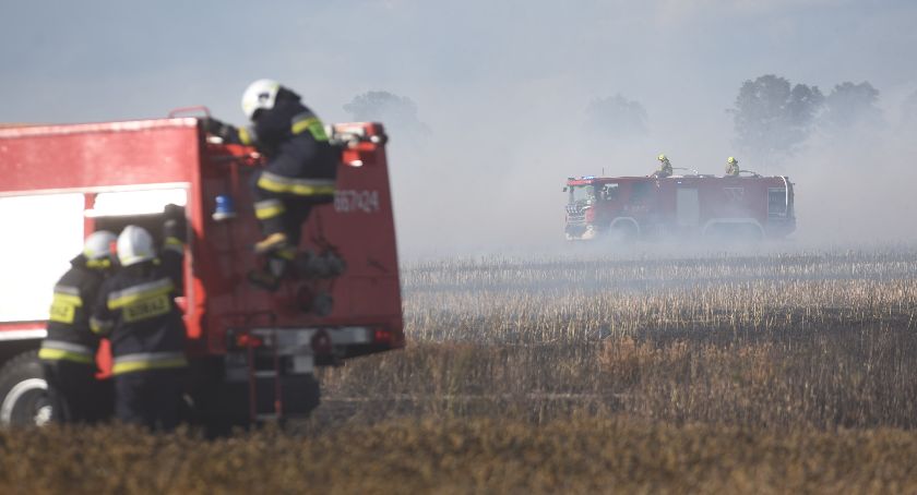 Płoną pola koło Krajenki!