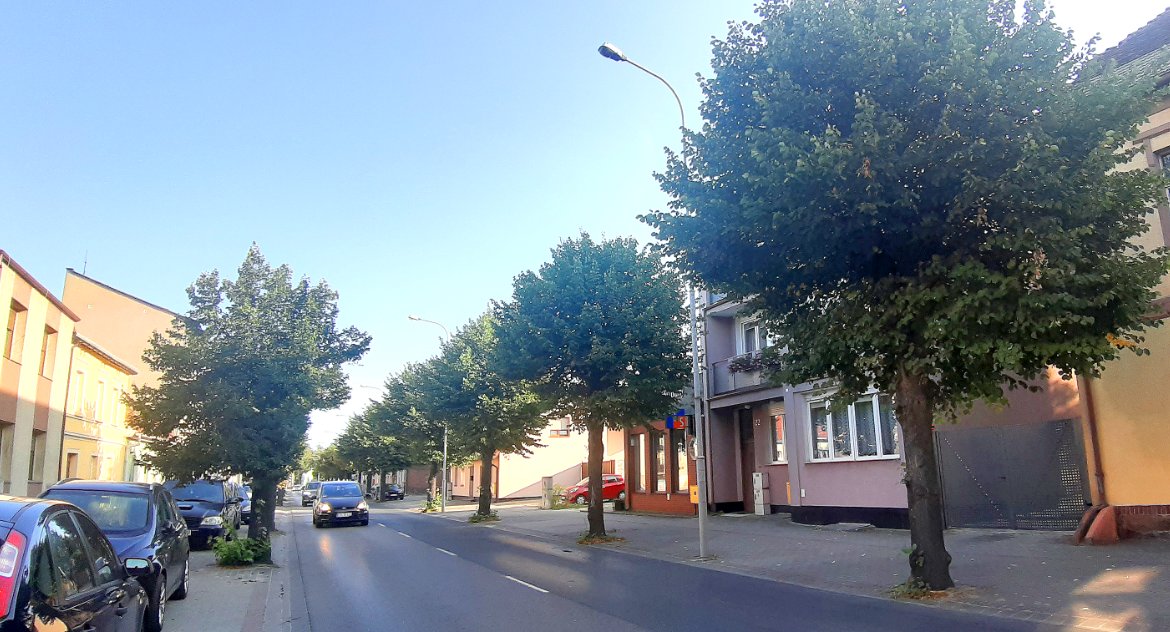 Można wyciąć drzewa na Obrońców Warszawy